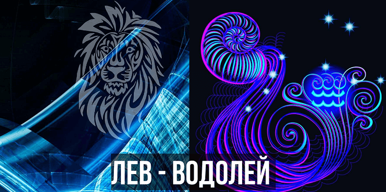 Водолей и лев. Лев и Водолей. Лев и Водолей картинки. Знак Водолея и Льва. Он Лев она Водолей.