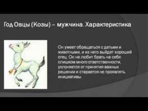 Гороскоп На 2024 Для Козы Мужчины
