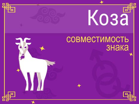 Водолей год козы. Совместимость знаков козы. Коза с табличкой. 2018 Год для знака козы Льва.