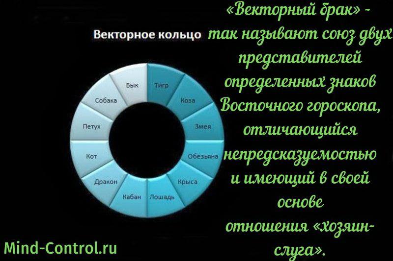 Вектор в отношениях. Векторное кольцо. Векторное кольцо по знакам. Гороскоп векторное кольцо. Векторное кольцо по знакам зодиака.