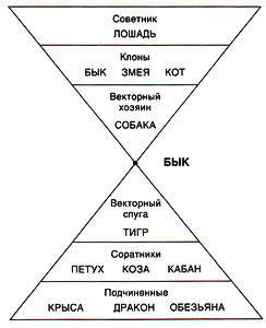 Кваша структурный гороскоп. Пирамида Кваша. Деловая пирамида для быка. Деловая пирамида для кабана. Структурный гороскоп векторные.